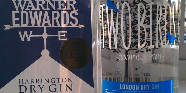 Harrington Gin & Two Birds Gin Gin recommendations