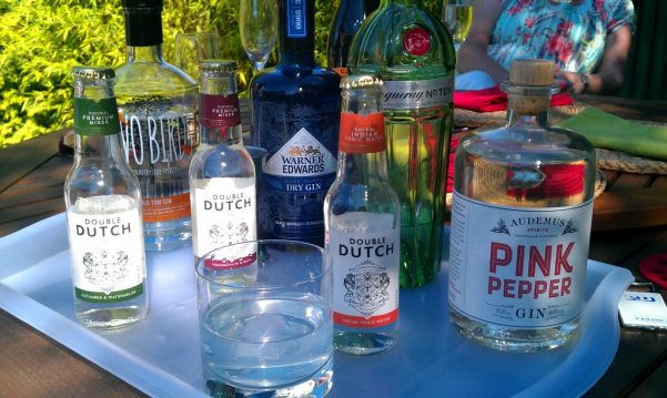 Gins with tonics – English garden gin bottles with tonic